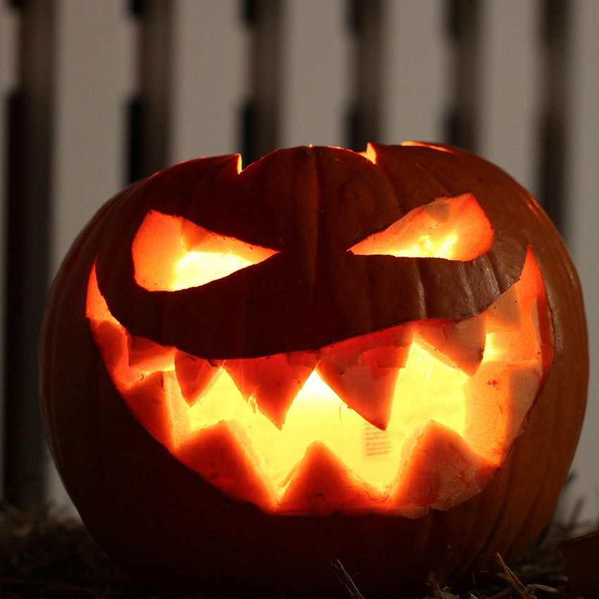 PIC_pumpkin_jackolantern_850x850