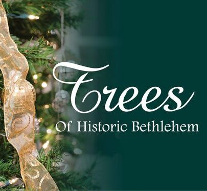 TreesofHistoricBethlehem