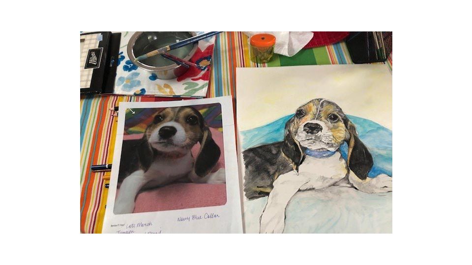 Paint Your Pet (4 Weeks)