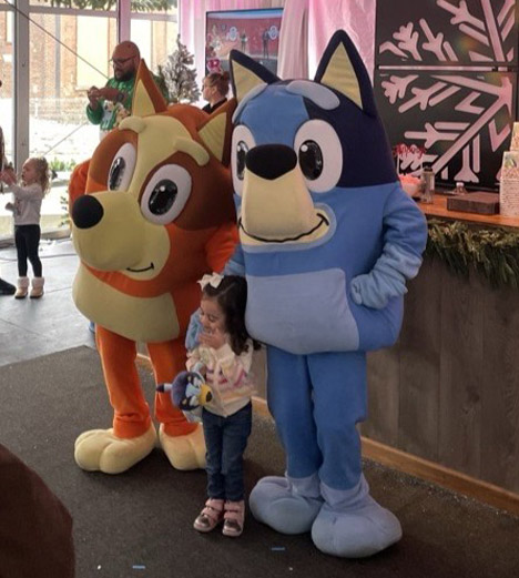 Bluey and Bingo