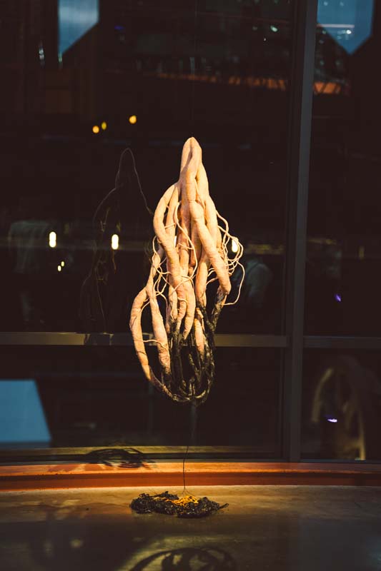 Linny-Awards-2025-155