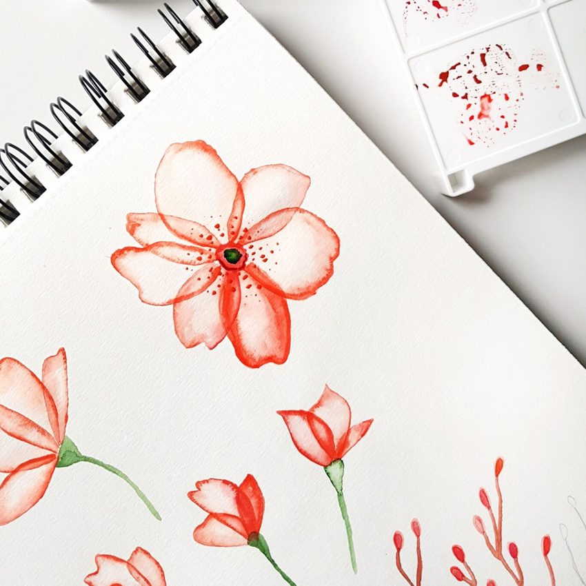 VA_wildflower850x850