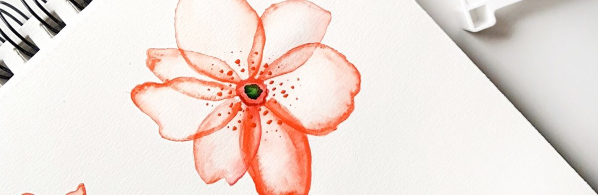 VA_wildflower_1200x392