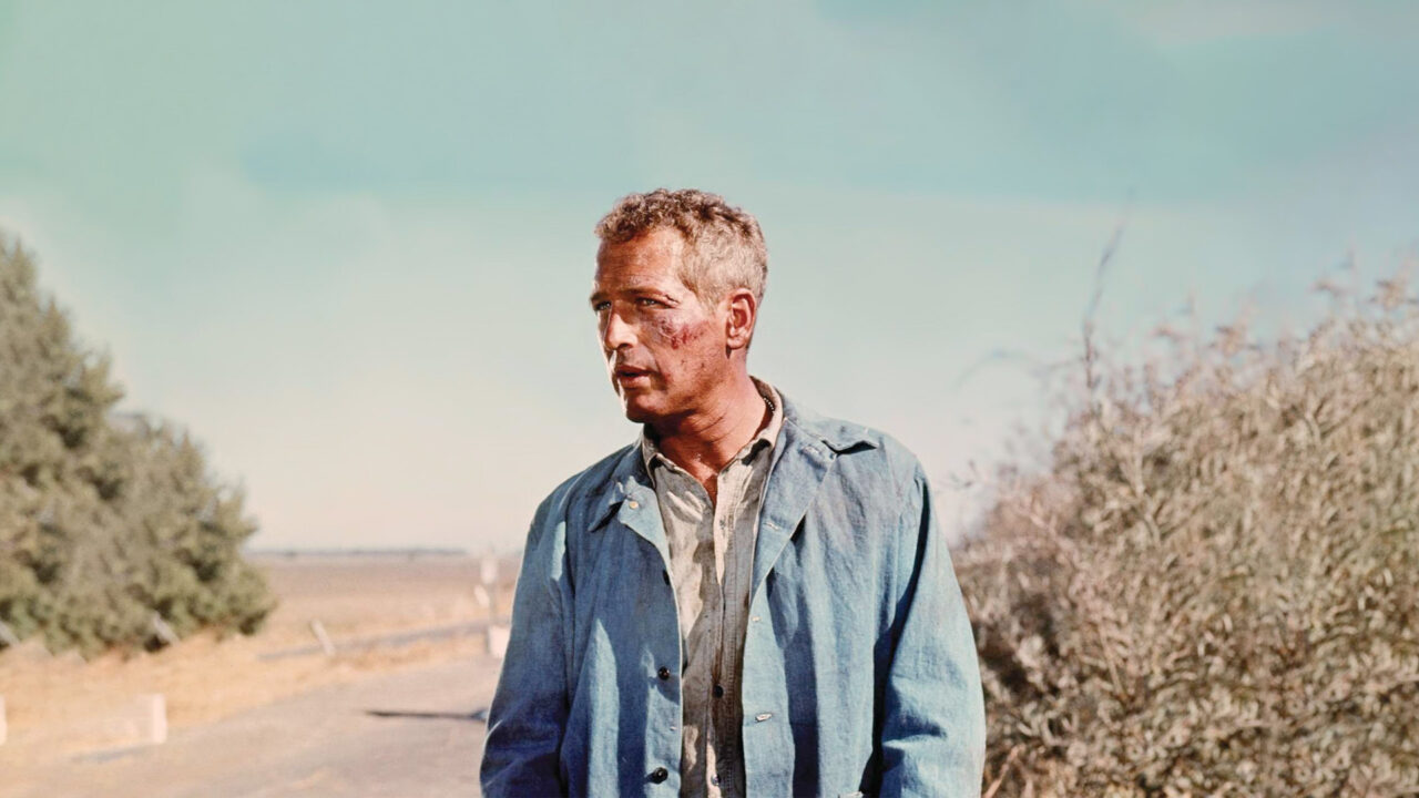 Cool Hand Luke