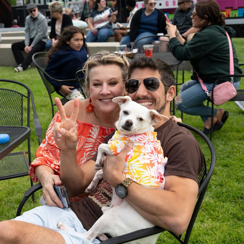 ChihuahuaBeautyContest_850x850