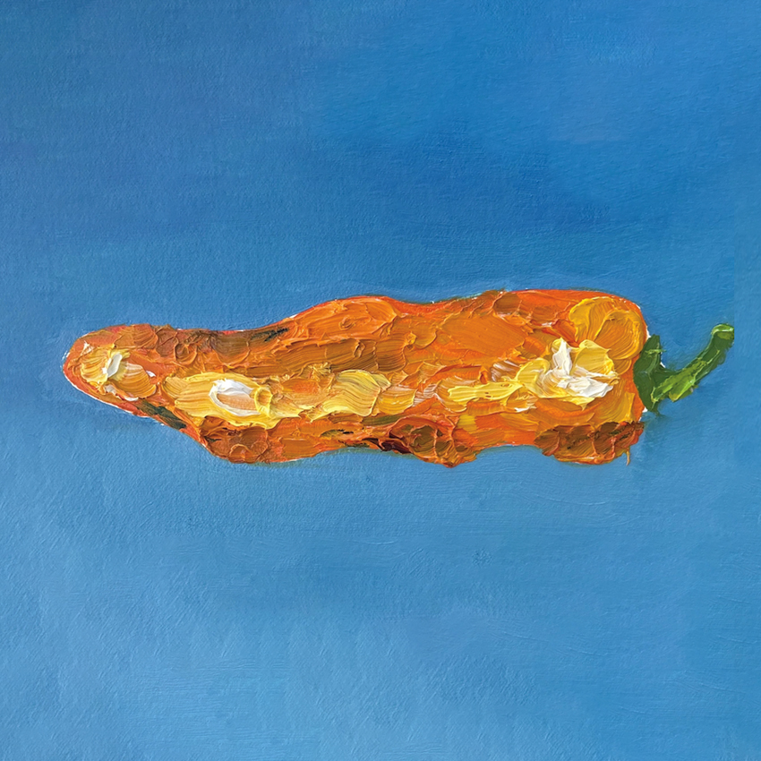 VA_ColorSessionB_850x850