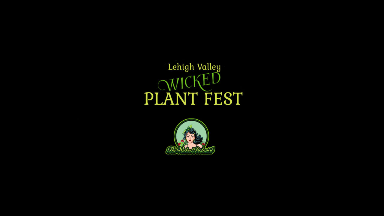plantfest_header