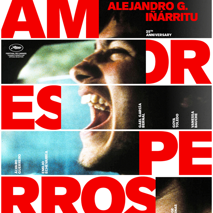 Amores-Perros-square-850×850