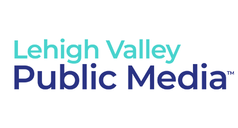 lv-public-media