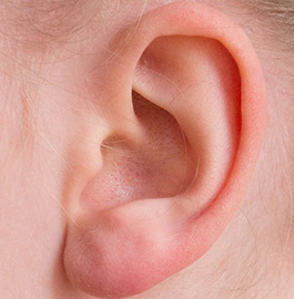 close up of ear