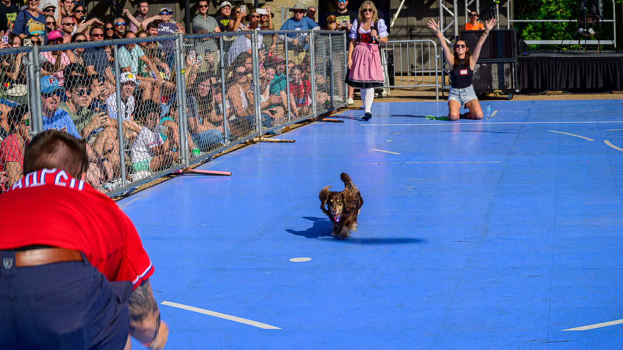 Weiner-dog-races-featured-1920×1080