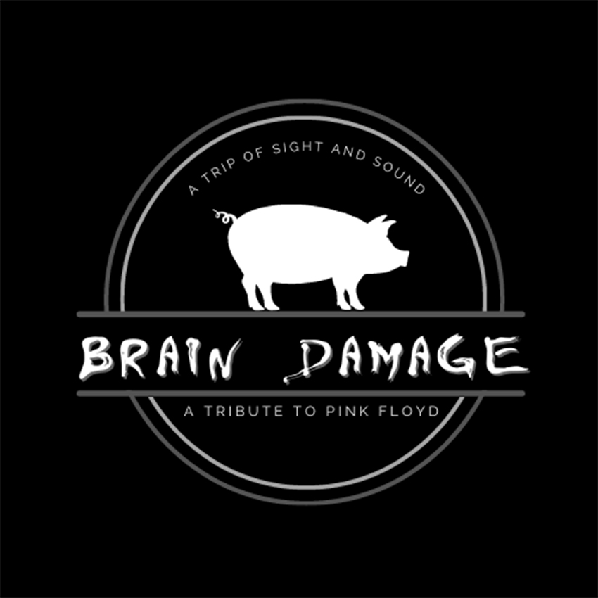 brain-damage-square-850×850