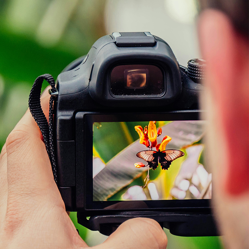 intro-photography-sqaure-850×850