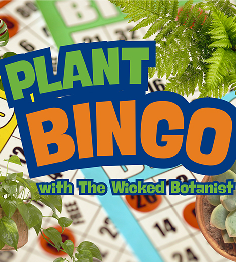 Plant Bingo