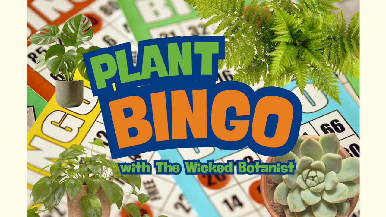 Plant Bingo