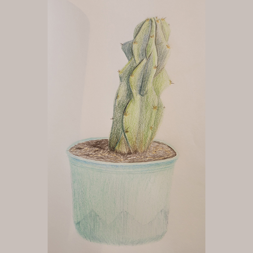sot-pastels-square-850×850