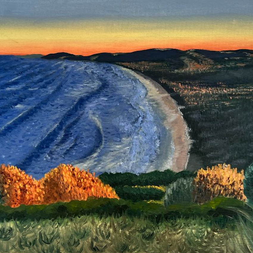 VA_Color_850x850