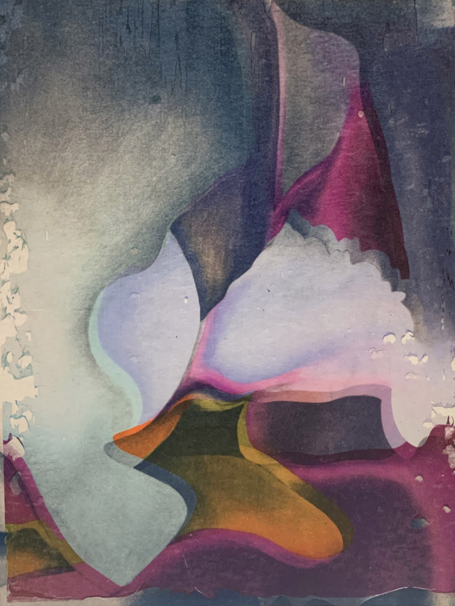 Iris Transformation - Elliot Rose DeCaro